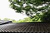 NEZU MUSEUM 02.jpg